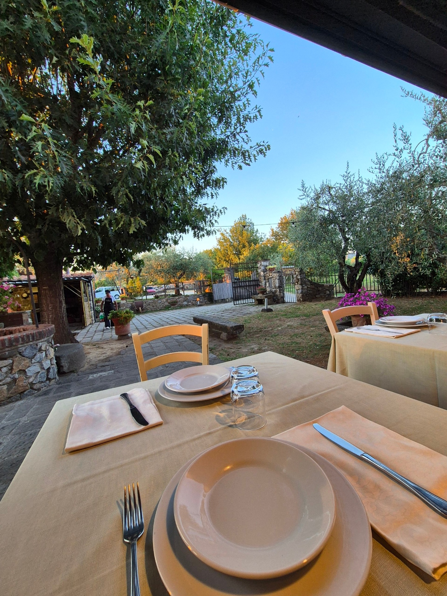 Tavolo apparecchiato con vista sul giardino