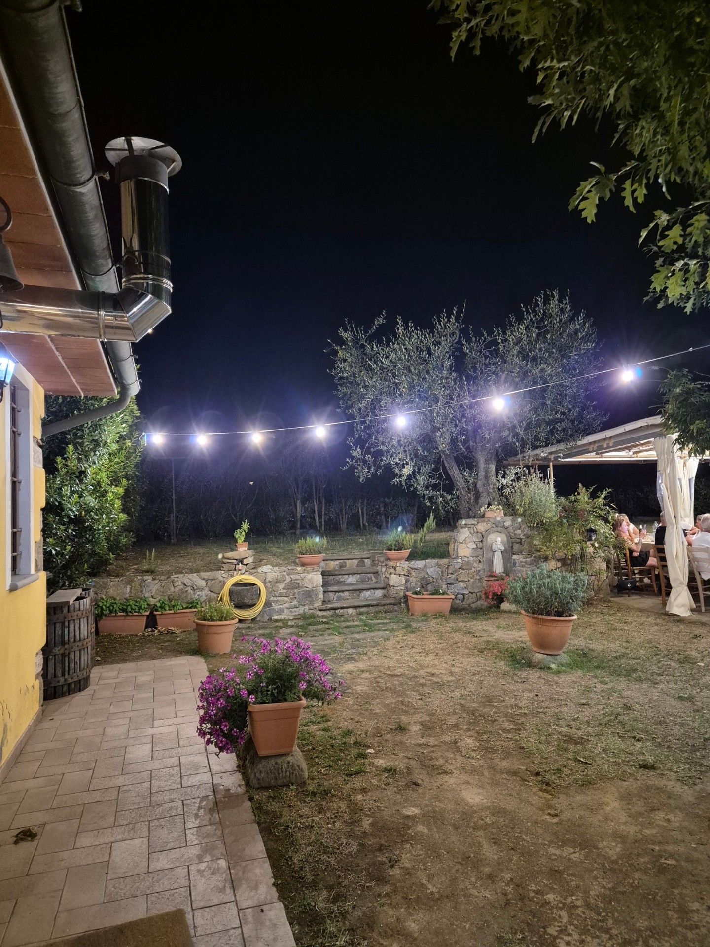 Giardino illuminato di sera con luci sospese e ulivi