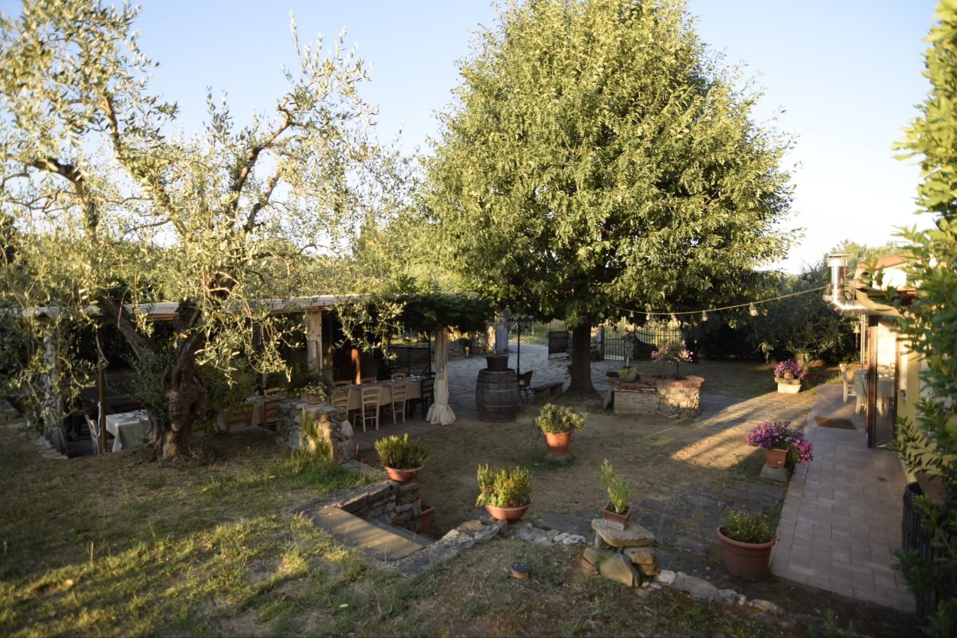 Giardino con olivi e portico