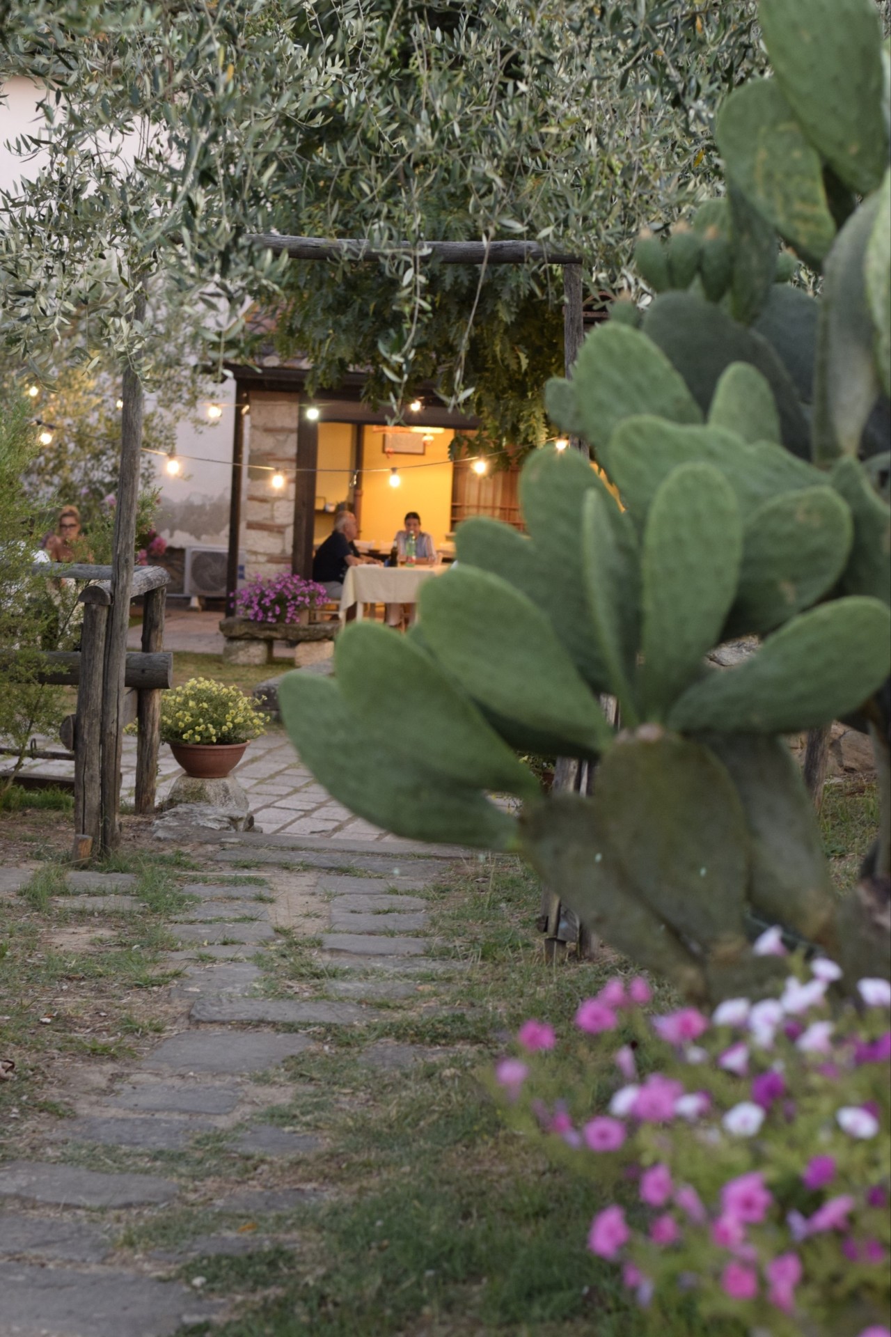 Vialetto con olivi e portico al tramonto